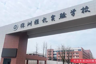 株洲雅礼实验学校楼梯护栏围栏项目